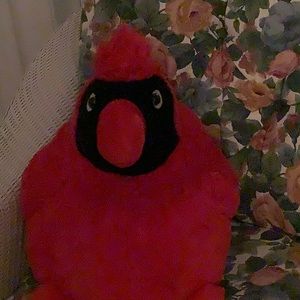 Meet your Posher, Anne